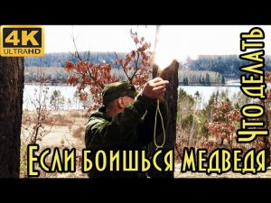 Если боишься медведя. Что делать. Как отпугнуть зверя.