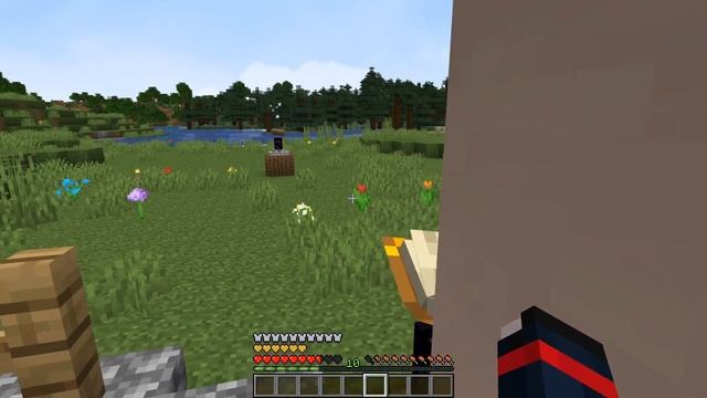 Minecraft 1.16.5 - Wards mod смотреть онлайн