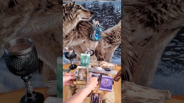 General Reading For the Collective. New Moon Energy March 21, 2023 смотреть онлайн