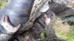 На рыбалку на квадроциклах.