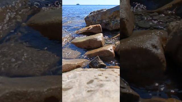 20231011 Медитация на пожелание Счастья Всем Живым существам #медитация#открытаяйога Людмила Радост смотреть онлайн