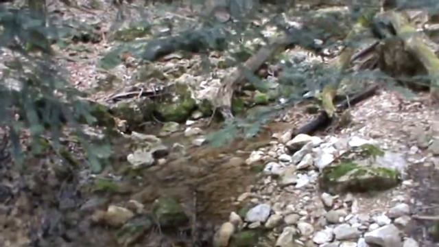 Водопад Суаткан. Богатое Ущелье. смотреть онлайн