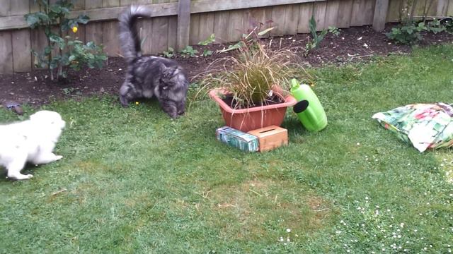 Out and about/Променад смотреть онлайн