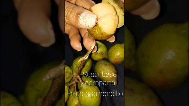 Mamoncillo una delicia de El Salvador смотреть онлайн