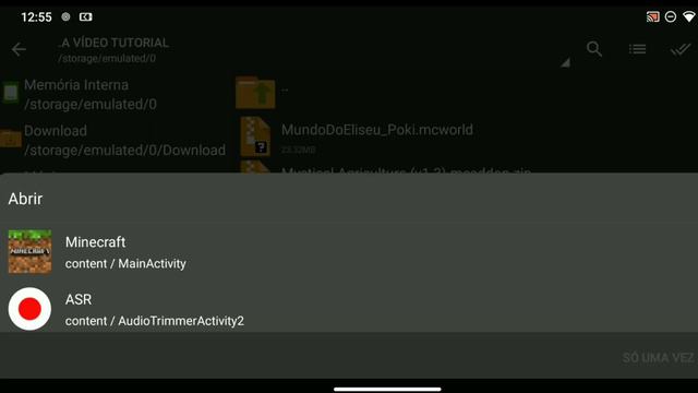 COMO COLOCAR MODS/ADDONS/TEXTURAS/ MUNDOS NO MINECRAFT PE 1.20 SEM PRECISARMOVER ARQUIVO 😮 смотреть онлайн