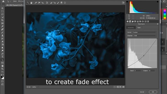 Blue moody tones | Flower & Macro Photography | Photoshop Color Grading Tutorial смотреть онлайн