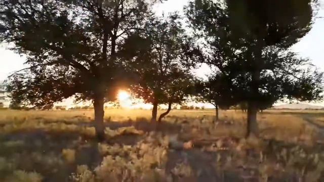 Уехали на 30 км на речку чтобы найти Качественный Контент (SKILL & ClickeR) смотреть онлайн