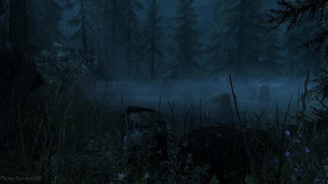 Camping Near a River • Skyrim Relax (ASMR) • Evergreen Grove • Help Me Sleep • Relax & Ambient Soun смотреть онлайн