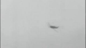 Люфтваффе   Фокке Вульф 190