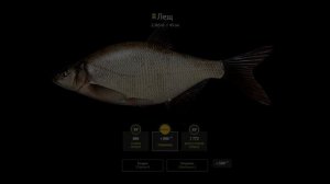 Русская Рыбалка 4 Лещ на Фидер Озеро Куори Фарм Серебра / Russian Fishing 4 Kuori Lake Spots Bream