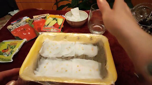 ПЕРВЫЕ ПОСЕВЫ! Стартует Сладкий Перец! Так семена взойдут быстро! смотреть онлайн