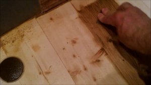 Обработка полов маслом. Колеровка доски пола пропиткой Масловоск Анта под древесину ЦЕННЫХ ПОРОД