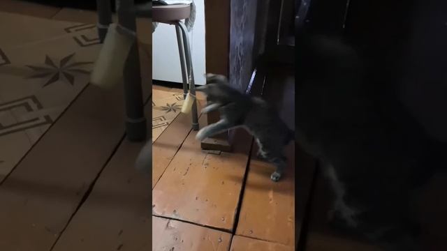 Бокс(поплавок уровня топливного бака, универсальный солдат) смотреть онлайн