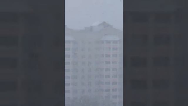 Завихряет, а на юге вишня и сирень расцвели! смотреть онлайн