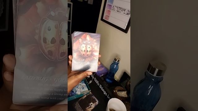 Spirit of the Animals oracle deck unboxing? смотреть онлайн