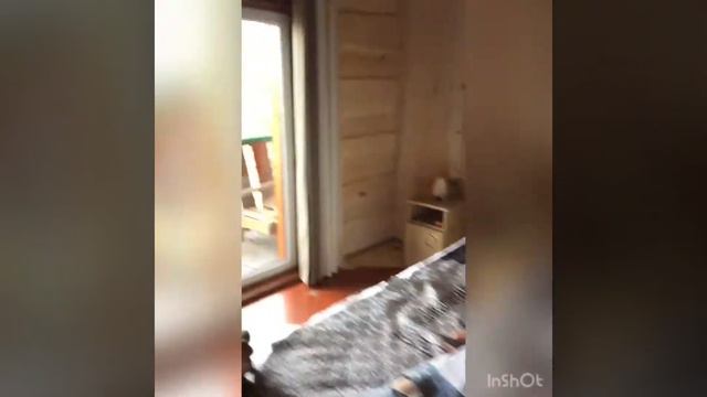 Агроусадьба Медвежья завала лето 2019 смотреть онлайн