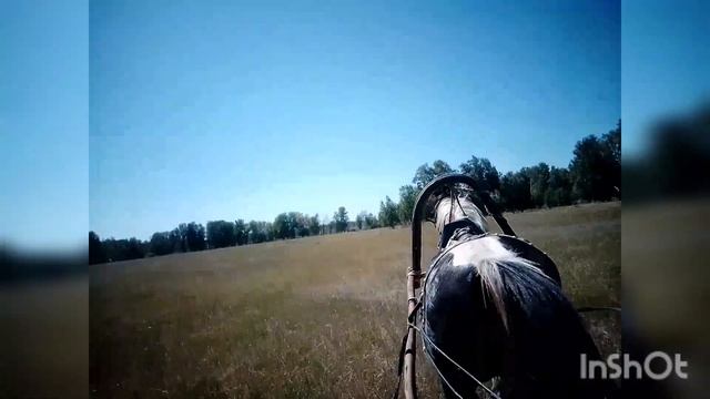 Охота на дикого зверя... По лесам полям и окрестностям. Где брать сено?.. смотреть онлайн