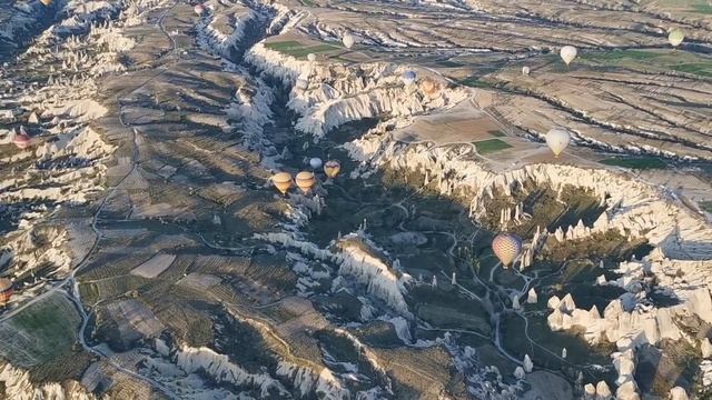 Кто такой Дуйко? Результат 8 лет обучения школы Кайлас.