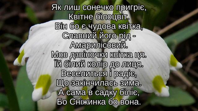 Білоцвіт Сніжинка смотреть онлайн