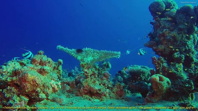 КРАСИВАЯ МУЗЫКА ДЛЯ ДУШИ! Эту музыку можно слушать вечно! Лучшая музыка Сергея Грищука #3 смотреть онлайн