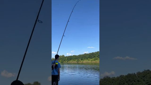 Бюджетный Carpfishing. Выпуск 1.