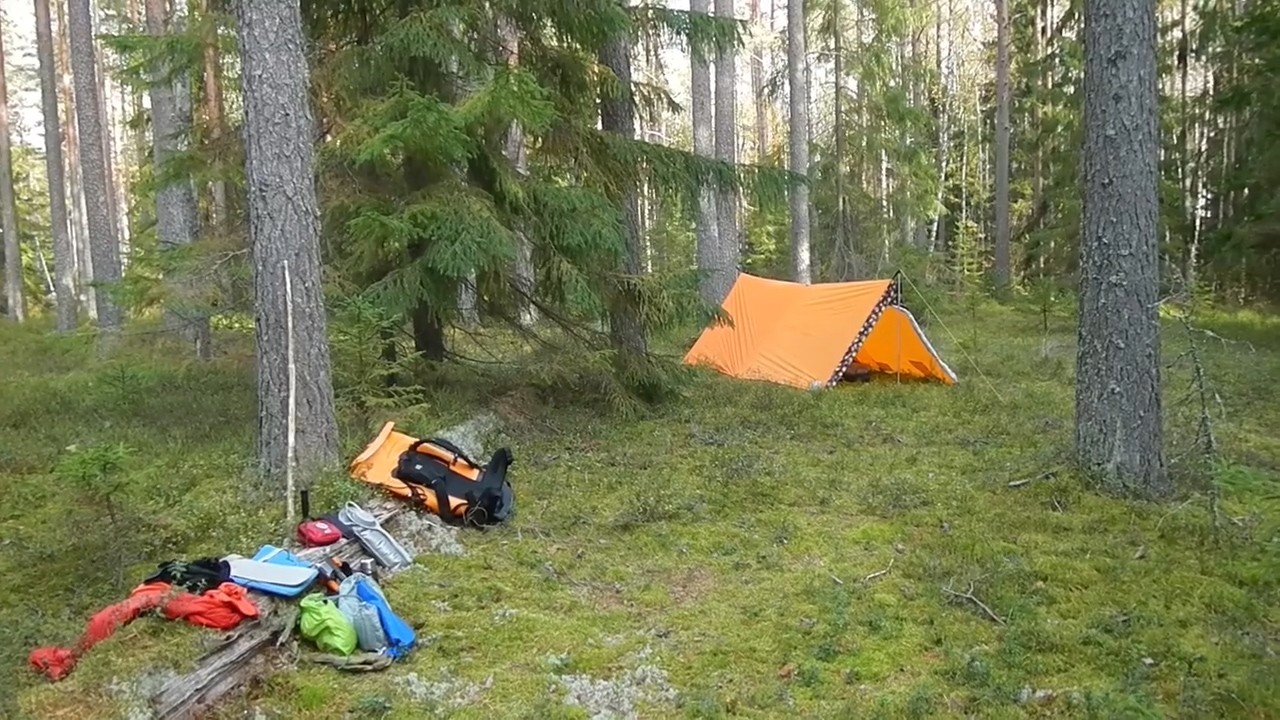 В поисках лесного стана \ Сентябрь 2020г. смотреть онлайн
