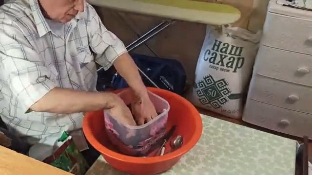 Рассада томата 