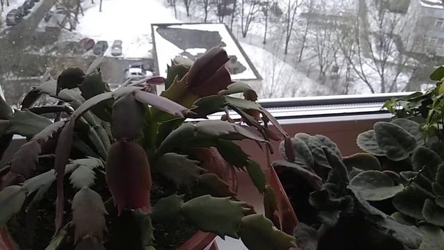 Отписка подписчиков Ютубом🤷 смотреть онлайн