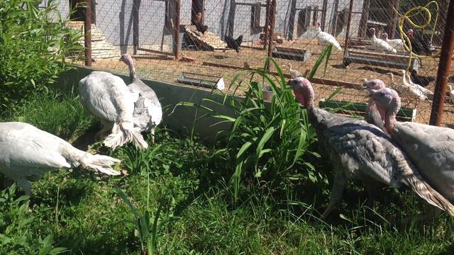 Дело моей семьи смотреть онлайн