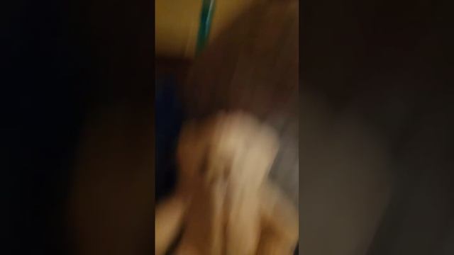 Bear alpha Sam plush смотреть онлайн