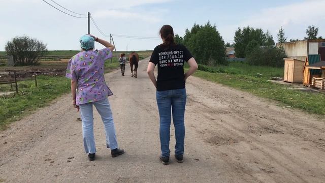 Подарок подруге-коннице: ВЕТЧЕК Олега :) смотреть онлайн