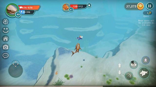LEVEL 50 SHARK (+40 ocean chests) Wildcraft Ocean World #19 смотреть онлайн