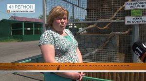 РЫСЯТА РОДИЛИСЬ В ЕЛИЗОВСКОМ ЗООПАРКЕ • НОВОСТИ КАМЧАТКИ