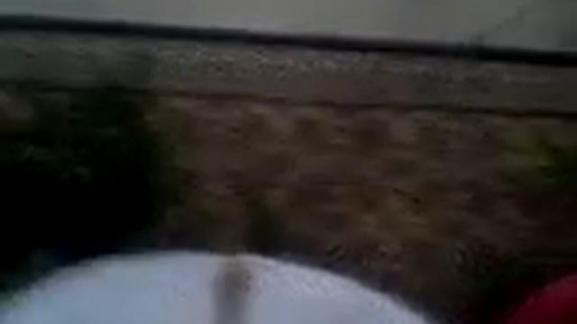 El diario de patricia By Felisa & Javier смотреть онлайн