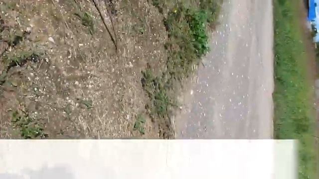 В Бежаницах площадки для выгула собак? Соврал как отрезал! смотреть онлайн