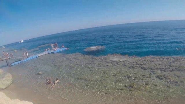 Риф отеля sharm plaza Egypt смотреть онлайн