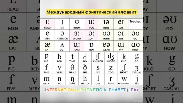 Что такое ТРАНСКРИПЦИЯ? международный учитель английского языка, Елена Мурзина смотреть онлайн