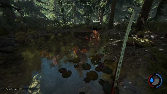 LOL AU CALME (The Forest) смотреть онлайн