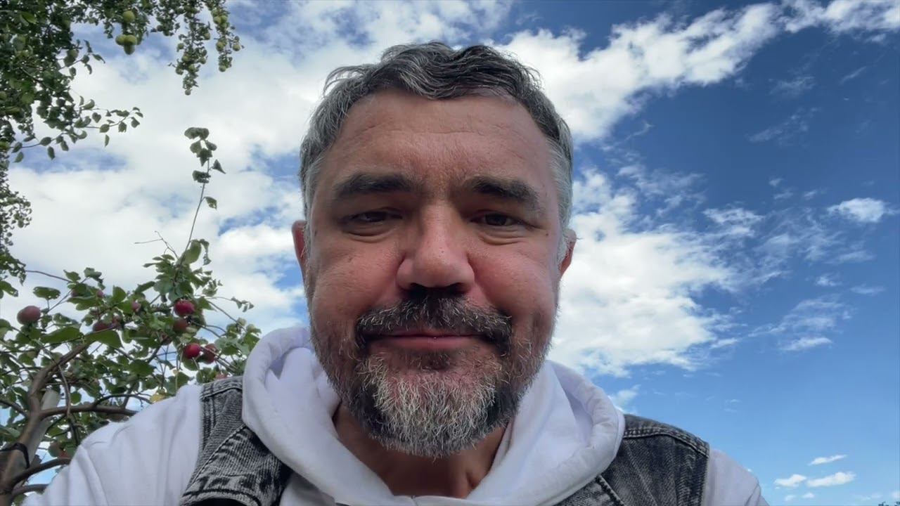 Упала груша - можно скушать: соседское право, или кто собственник плодов