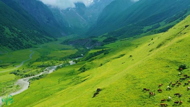 Успокаивающая музыка для нервов 🌿 лечебная музыка для сердца и сосудов, релакс, музыка для души #1 смотреть онлайн