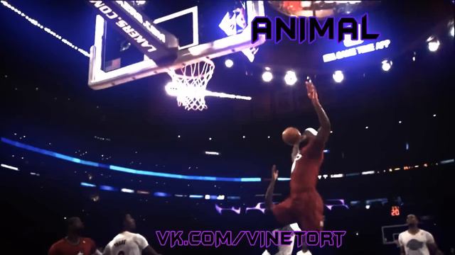 Perfect dunk by ANIMAL смотреть онлайн