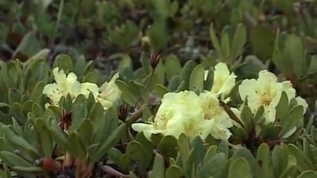 Закаменский район