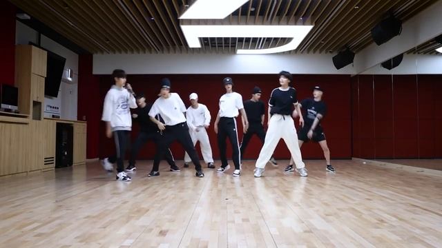 Stray Kids 'DOMINO' Dance Practice Video смотреть онлайн