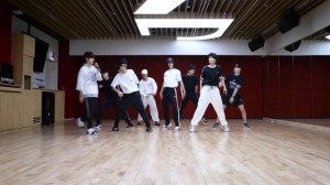 Stray Kids 'DOMINO' Dance Practice Video