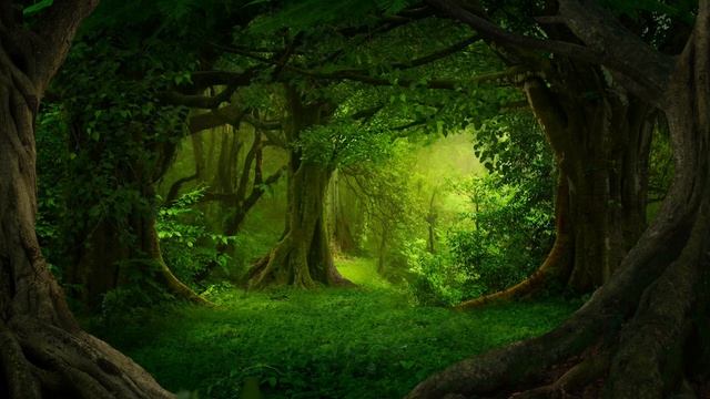 медитация для нервной системы. медитации онлайн бесплатно. музыка для медитации слушать бесплатно смотреть онлайн