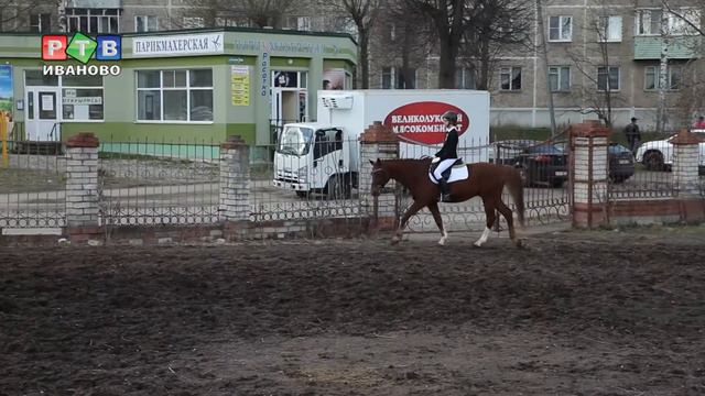Конное первенство смотреть онлайн