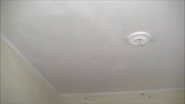 Ремонт. 5 дней за 18 минут #1 смотреть онлайн