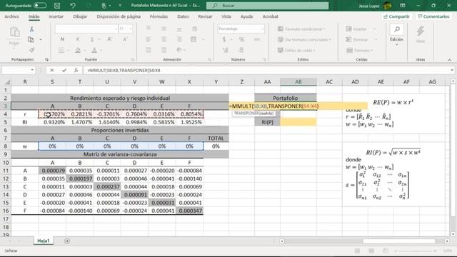 Portafolio de Markowitz con n activos financieros con Excel смотреть онлайн