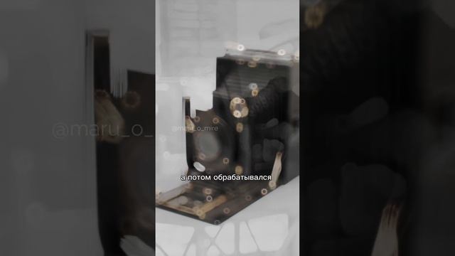Почему люди на старом фото никогда не улыбаются и держат руку на плече у сидящего?!?? #факты смотреть онлайн