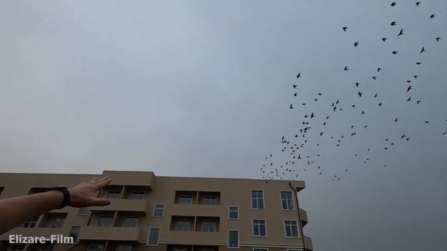 Завихрения Деда ВДВ в обезьяннике. Самооборона против трех смотреть онлайн